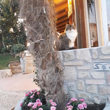Perla Bed and Breakfast Gussago Εξωτερικό φωτογραφία