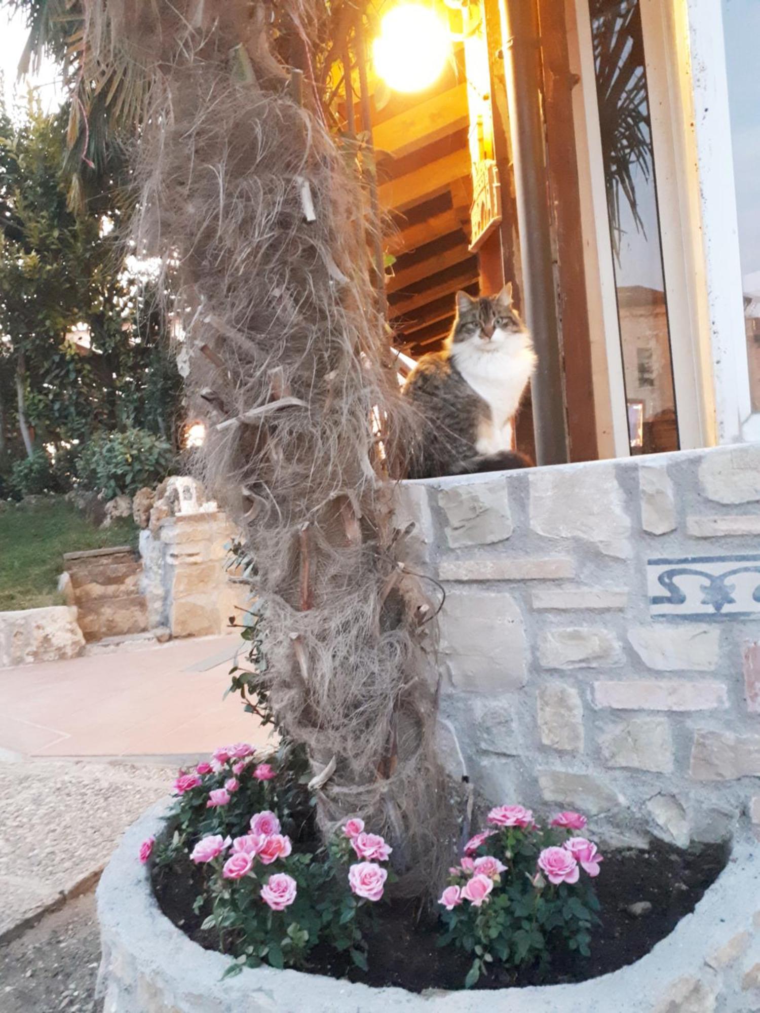 Perla Bed and Breakfast Gussago Εξωτερικό φωτογραφία